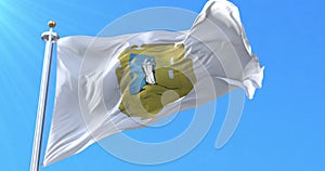 San Luis Potosi Flag, Mexico. Loop