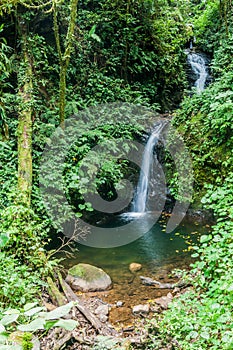 San Luis waterfall in a cloud forest of Reserva Biologica Bosque Nuboso Monteverde, Costa Ri