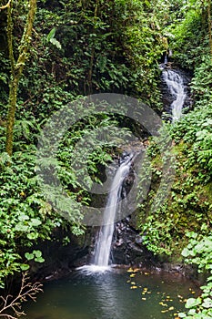 San Luis waterfall in a cloud forest of Reserva Biologica Bosque Nuboso Monteverde, Costa Ri photo