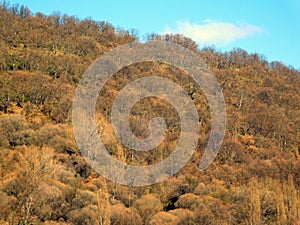 San Martin of Castaneda, Sanabria, Zamora, spain photo