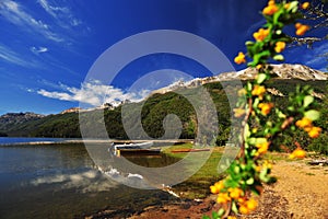 san martin de los andes, neuquen argentina-landscape with trees flowers and sky background with snowy argentina