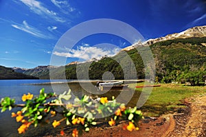 san martin de los andes, neuquen argentina-landscape with trees flowers and sky background