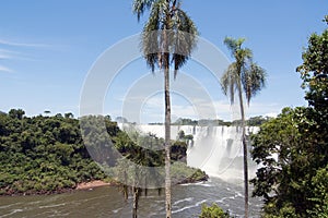 San Martin Island and Iguazu Falls photo