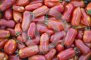 San Marzano tomatoes