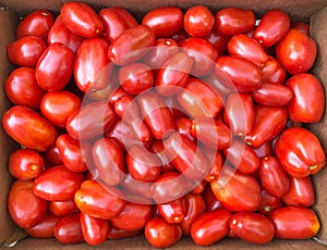 San Marzano tomatoes for homemade tomato sauce and juice