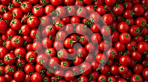 San Marzano tomatoes seen from above and very fresh, multitude of tomatoes, tomatoes wallpaper