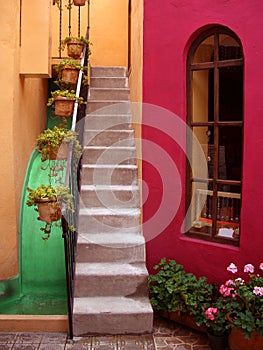 San Miguel De Allende Courtyard