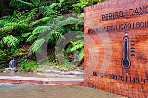 San Miguel, Portugal. Thermal springs, unique trees in Caldera Velha, Azores