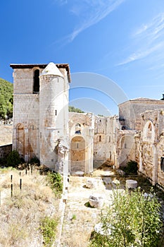 San Pedro de Arlanza Monastery