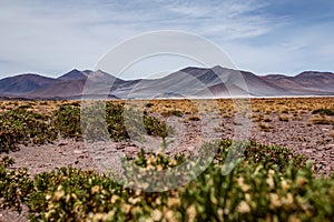 San Pedro de Atacama desert mountains region