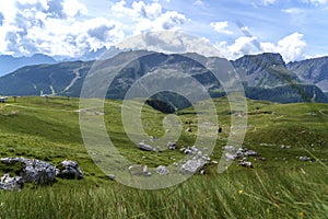 San Pellegrino Pass, Moena , Trentino Alto Adige, Alps, Dolomites, Italy: Landscape at the San Pellegrino Pass 1918 m.It`s a