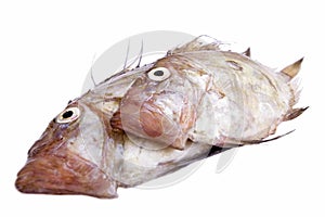 San Pierre Fish