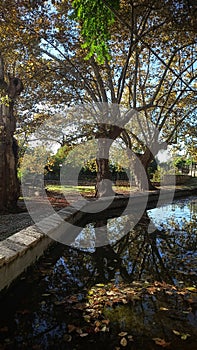 San Pietro Infine - Italia - Provincia di Caserta - Fonte Maria Santissima Dell'acqua