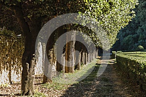 SAN QUIRICO D`ORCIA, ITALY - OCTOBER 30, 2016 - View of the Orti Leonini in San Quirico d`Orcia, Val d`Orcia