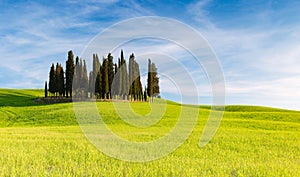 SAN QUIRICO D`ORCIA, TUSCANY ITALY with rolling hills and tuscan cypress trees. Located in Val D`Orcia countryside.