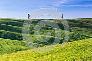 SAN QUIRICO D`ORCIA, TUSCANY ITALY with rolling hills and tuscan cypress trees. Located in Val D`Orcia countryside.