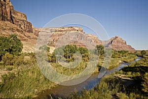 San Rafael River in Utah photo