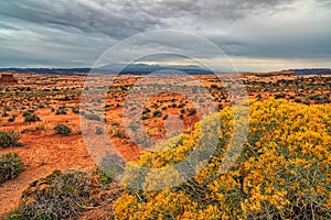 San Rafael Swell is a large geologic feature