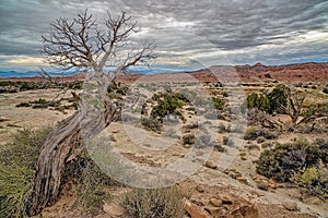 San Rafael Swell is a large geologic feature