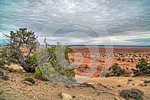 San Rafael Swell is a large geologic feature