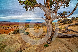 San Rafael Swell is a large geologic feature