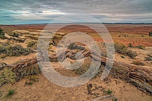 San Rafael Swell is a large geologic feature