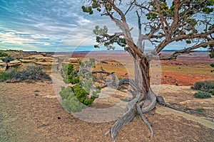 San Rafael Swell is a large geologic feature