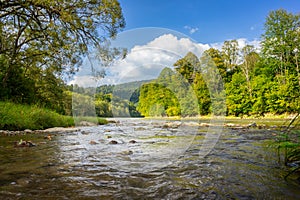 San river, San valley in Bieszczady mountains