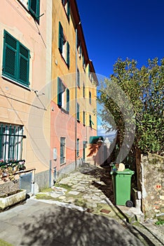 San Rocco in Camogli photo