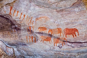 San rock art at the Stadsaal Caves in Cederberg Mountains