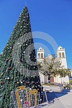 San Salvador Cathedral and Christmas tree on Plaza Barrios