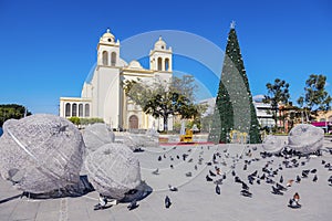 San Salvador Cathedral photo