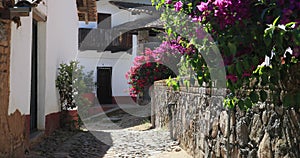 San Sebastian del Oeste Mexico cobblestone road flowers 4K