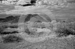 San Tan Mountains Sonora Desert Arizona in Monochrome photo