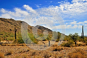 San Tan Mountains Sonora Desert Arizona photo