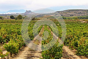 San Vicente de la Sonsierra, La Rioja, Spain