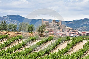 San Vicente de la Sonsierra, La Rioja (Spain) photo