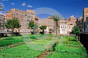 Sanaa Old South Arabian