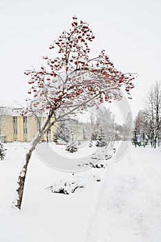 Sanatorium Belokuriha