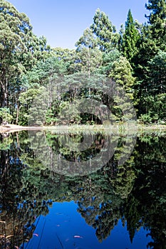 Sanatorium Lake in Macedon Ranges area of Victoria, Australia