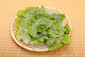 Sanchu is a leafy vegetable, a type of lettuce.