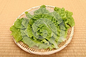 Sanchu is a leafy vegetable, a type of lettuce.