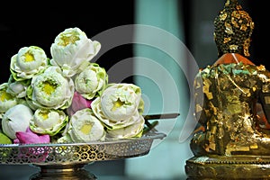 Sanctity Lotus and buddha statue photo