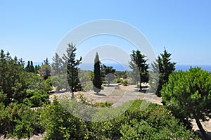 Sanctuary of Apollo Hylates Cyprus