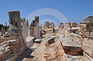 Sanctuary of Apollo Hylates Cyprus