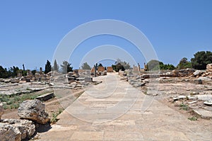 Sanctuary of Apollo Hylates Cyprus