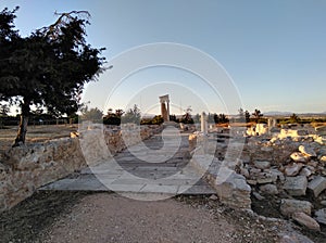 Sanctuary of Apollo Hylates Cyprus