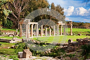 Sanctuary of Artemis photo