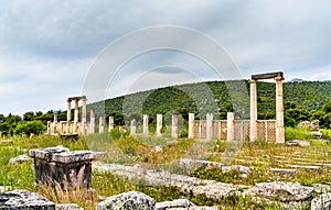 Sanctuary of Asklepios at Epidaurus in Greece photo