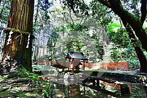 Sanctuary in the temple, Japan